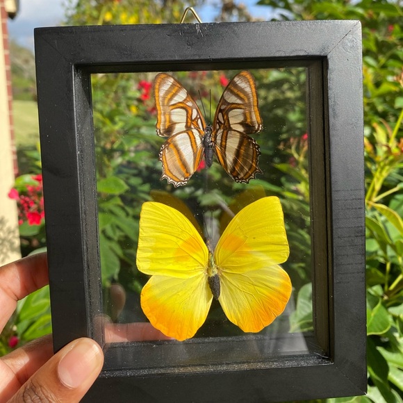 Other - Butterfly Wall Hanging